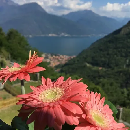 Angolo Di Gravedona